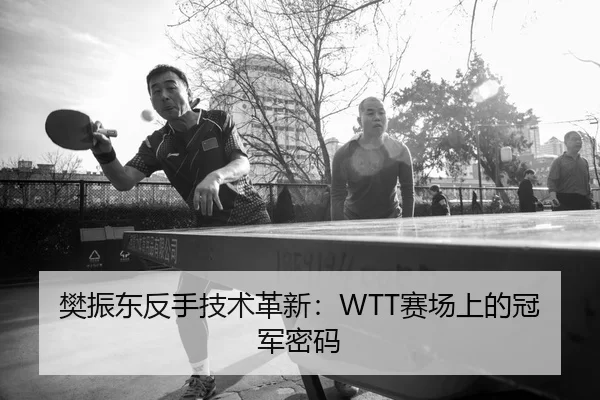 樊振东反手技术革新：WTT赛场上的冠军密码