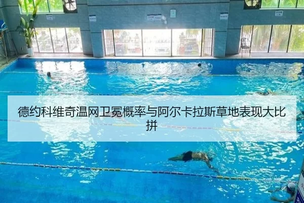 de-yue-ke-wei-qi-wen-wang-wei-mian-gai-lv-yu-a-er-ka-la-si-cao-di-biao-xian-da-bi-pin-2-901.jpg